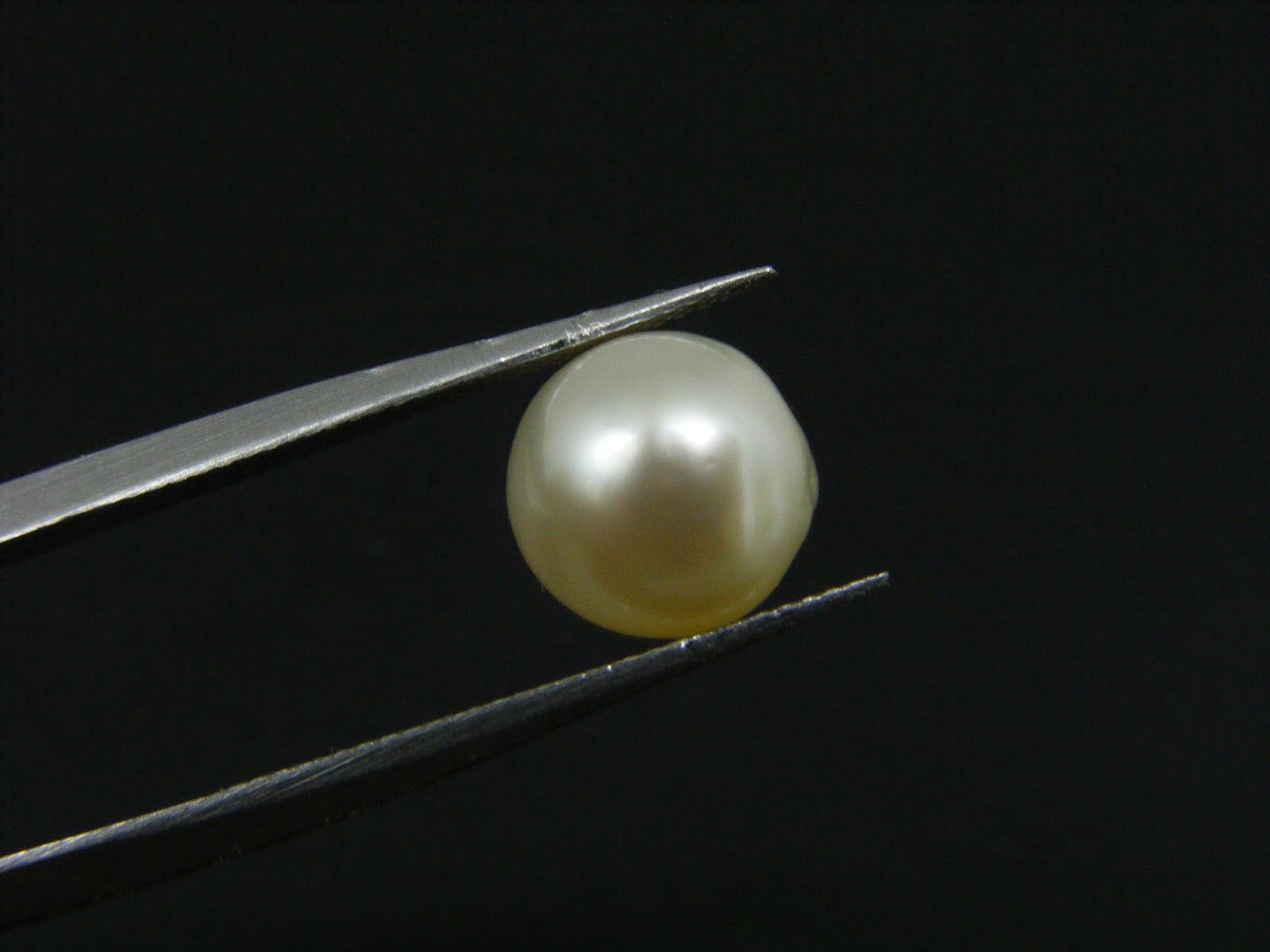 South Sea Pearl 4.88