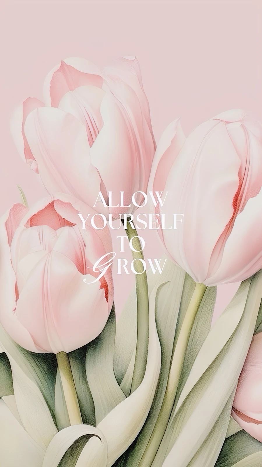 Soft Pink Tulips Floral Art - Digital Illustration Full HD iPhone Wallpaper (1286x2288)