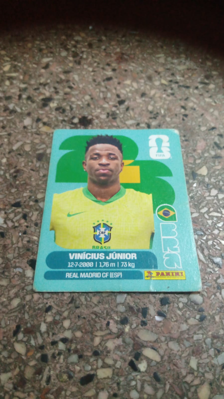 Vini Jr