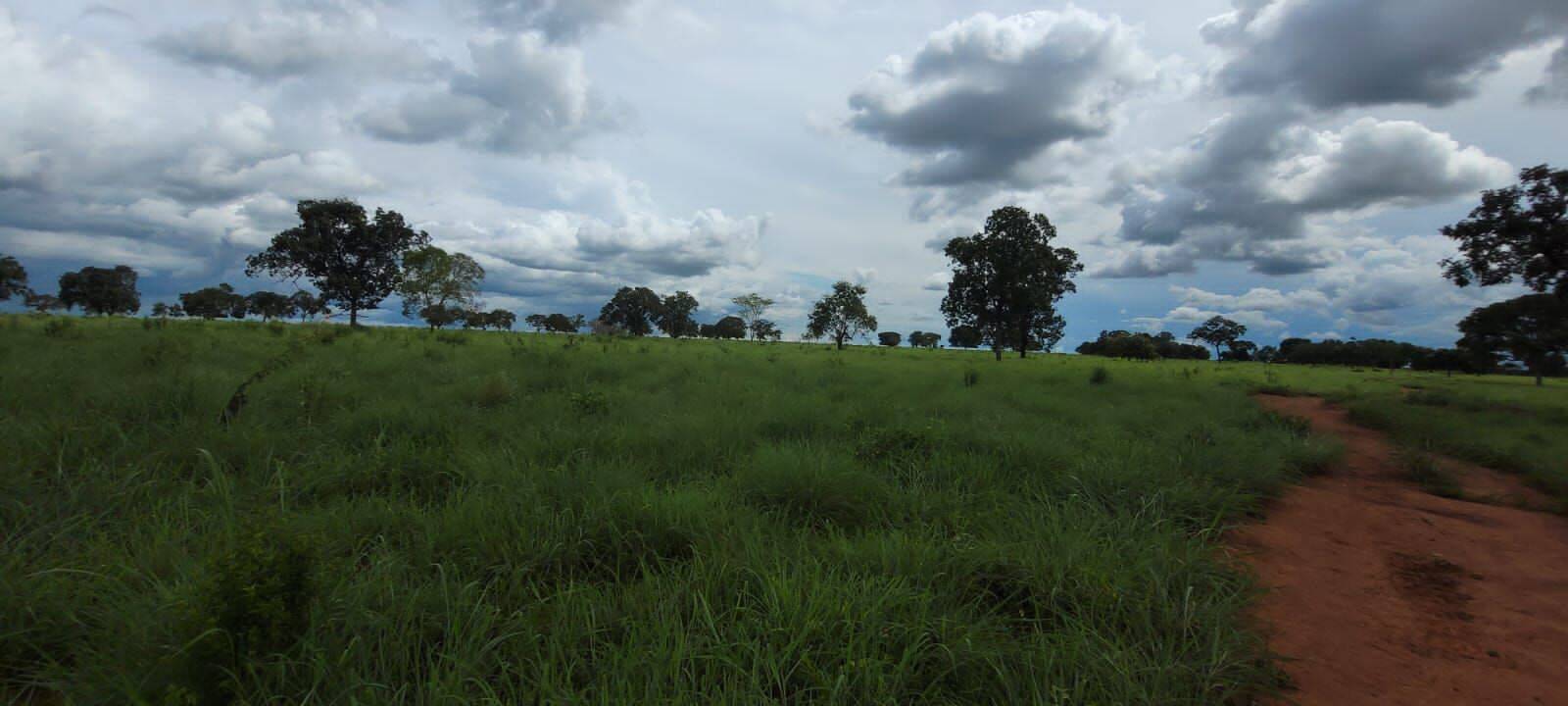 Fazenda em Porangatu - GO 2