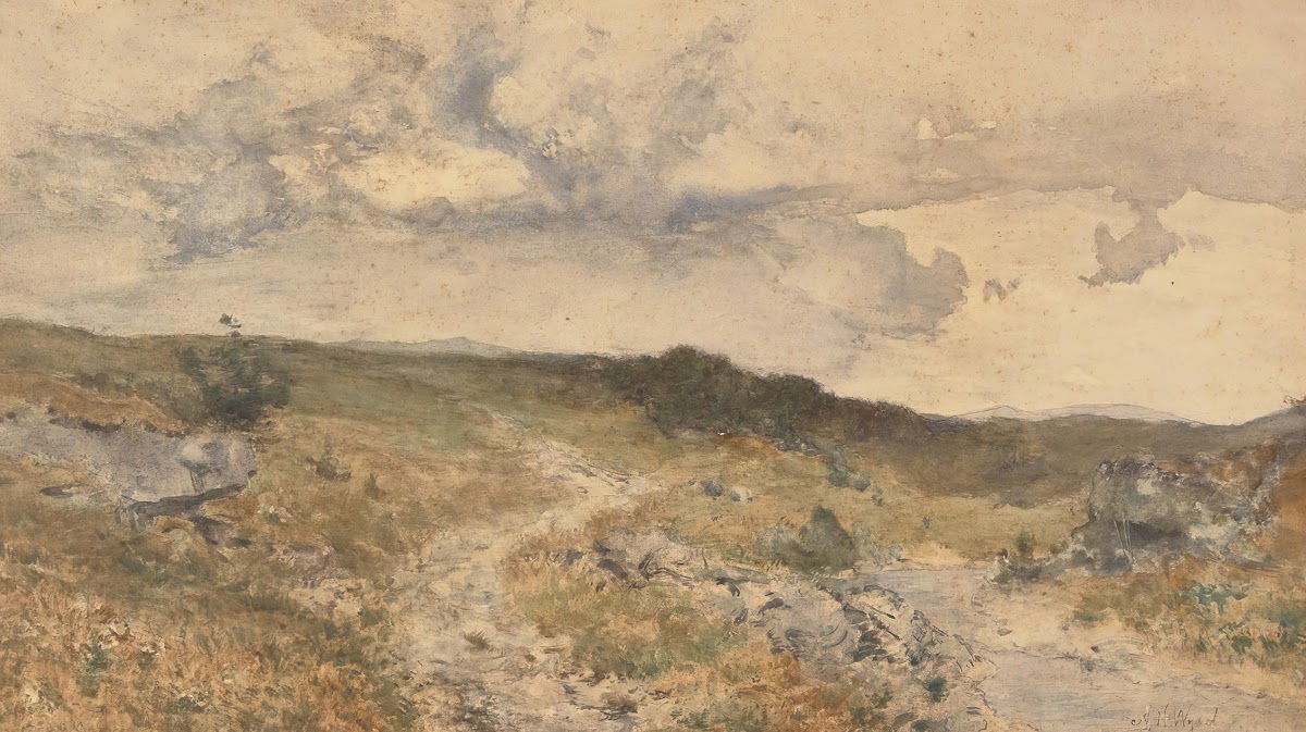 Landscape