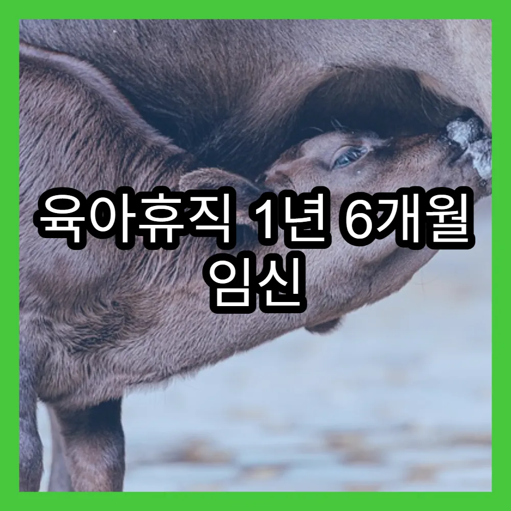 육아휴직 1년 6개월 임신 기간별 차이점(초등학생, 영아)