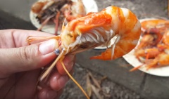 Phần nước dừa luộc tôm nếu thích thì bạn húp kèm, còn tôm thì chấm với muối tiêu chanh pha tí ớt, bao ngon nha bà con. Tôm luộc với nước dừa nguyên chất siêu ngọt.