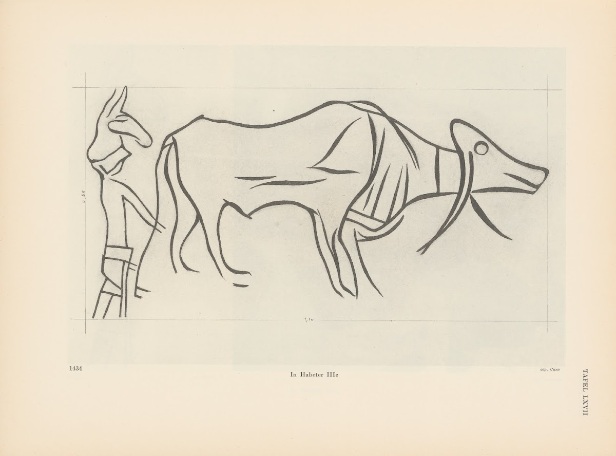 Ekade Ektab die Felsbilder Fezzans Pl54 1937