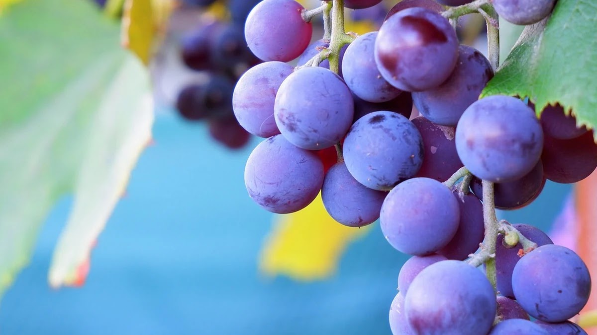 LTV 한도 계산법과 주담대 한도 증액 전략