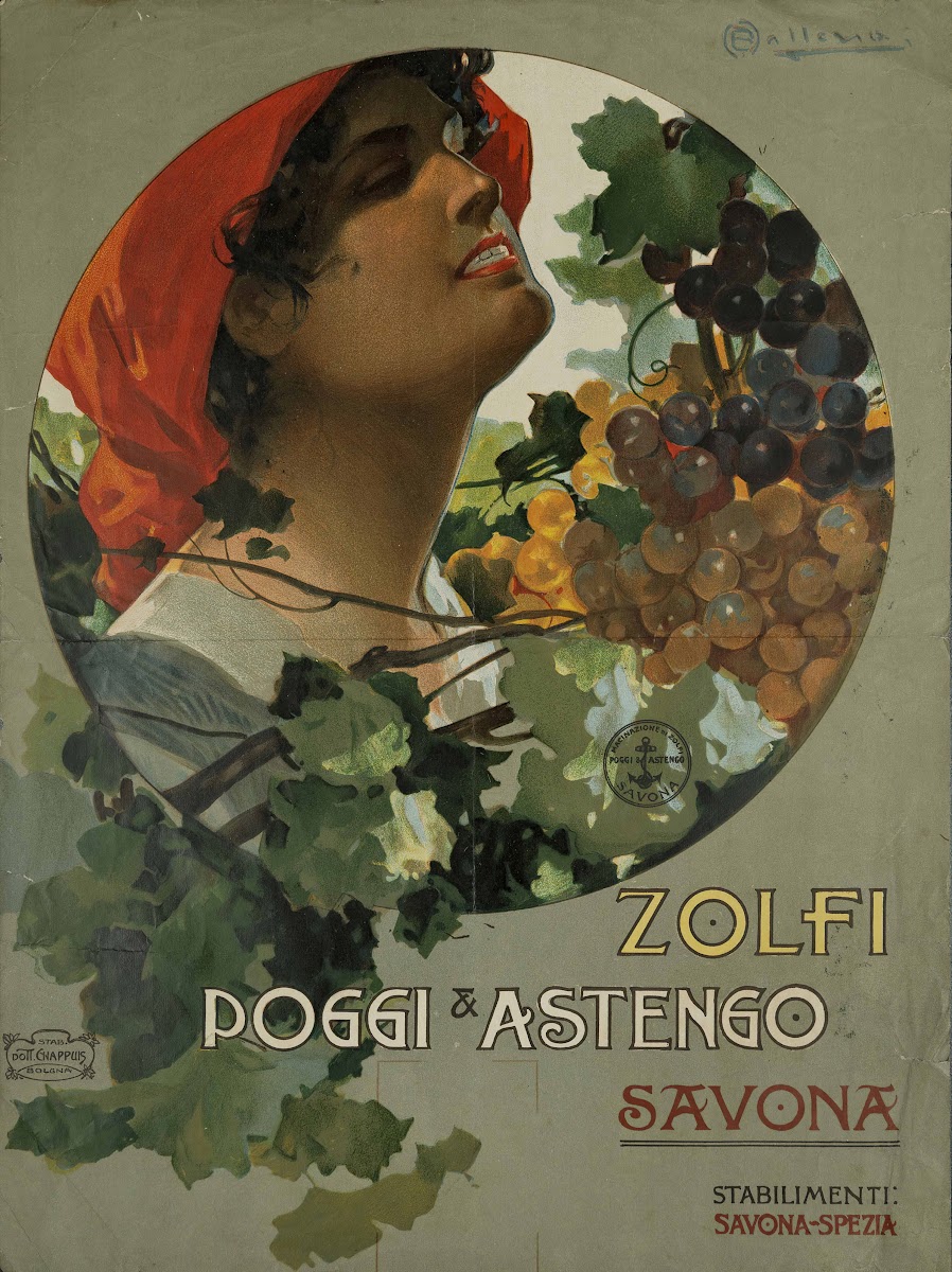 Zolfi Poggi E Astengo Savona 1905