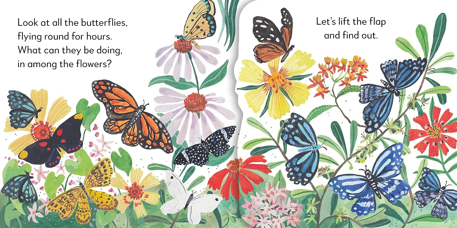 Pop-Up Peekaboo! Butterfly - thumbnail 2