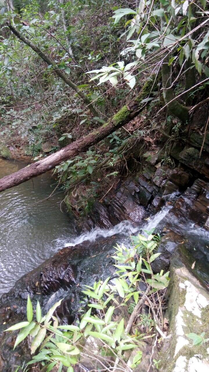 Fazenda em Santa Cruz de Goiás-GO 7
