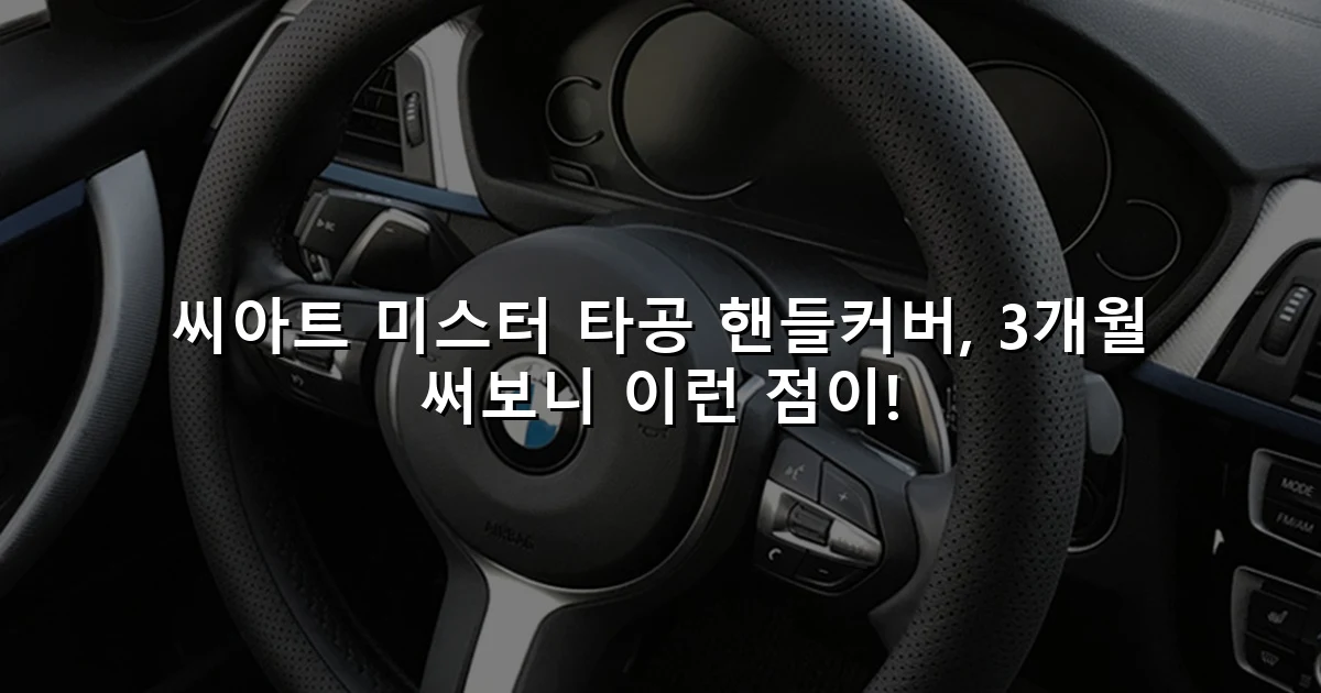 씨아트 미스터 타공 핸들커버, 3개월 써보니 이런 점이!