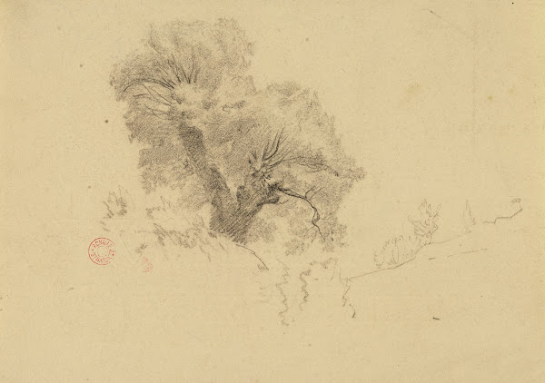 Arbre 19th century