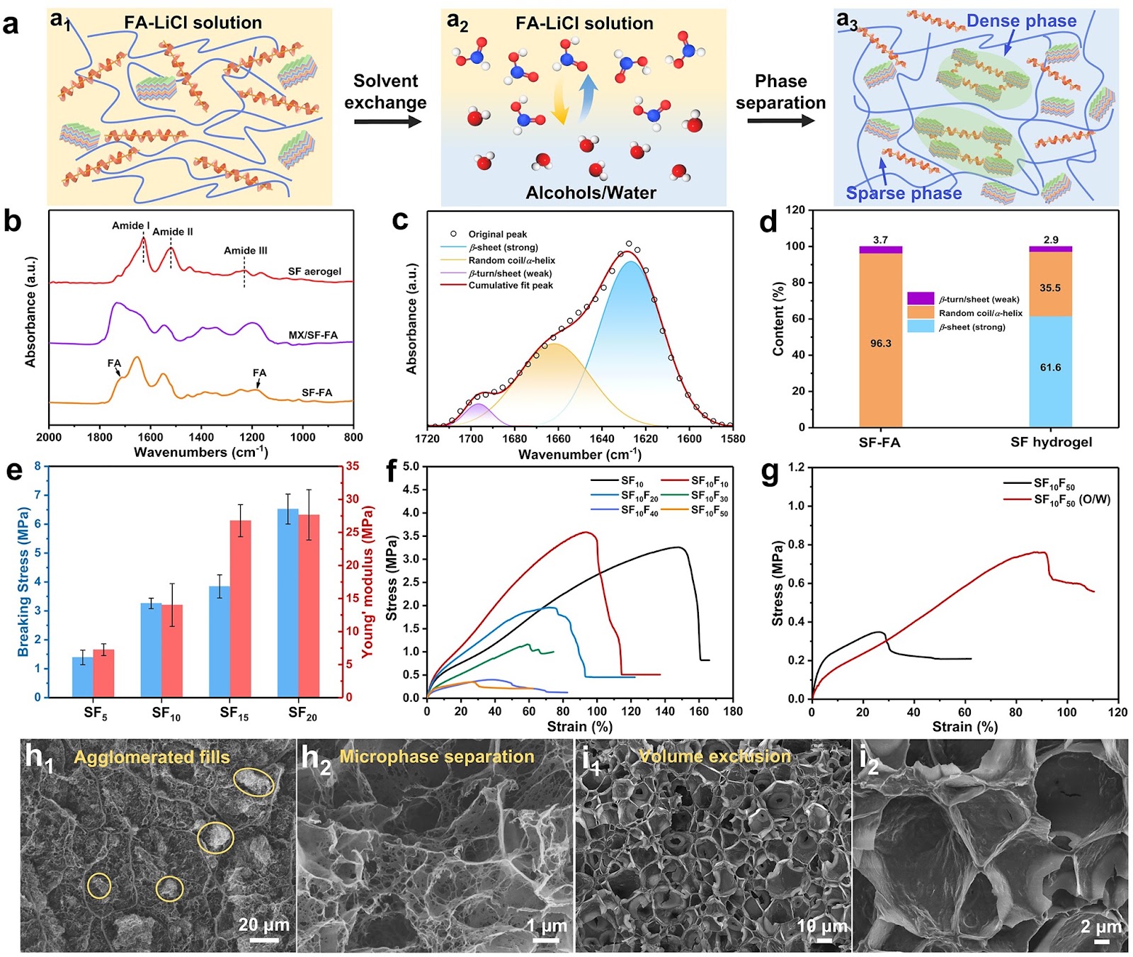 Pickering Emulsion-Driven MXene/Silk Fibroin Hydrogels with Programmable Functional Networks for EMI Shielding and Solar Evaporation