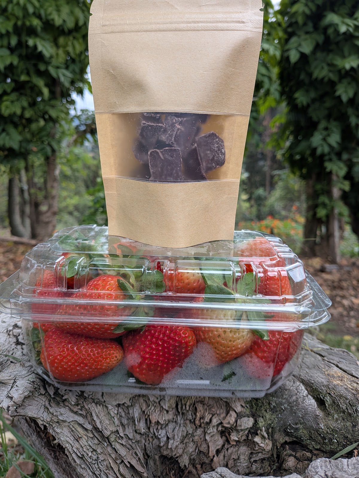 Comprar Fresa +Chocolate de Cobertura orgánico
