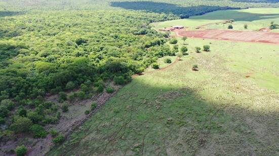 Fazenda em Montes Claros de Goiás - GO 7