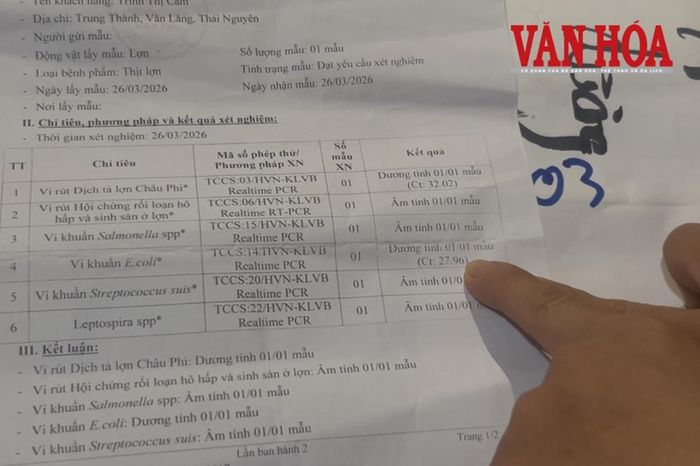 Khi nỗi lo bủa vây cha mẹ - Báo Văn hóa