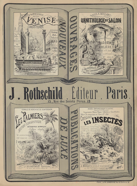 J Rothschild ÉDiteur Paris 13 Rue Des Saints PèRes Ouvrages Nouveaux Publication
