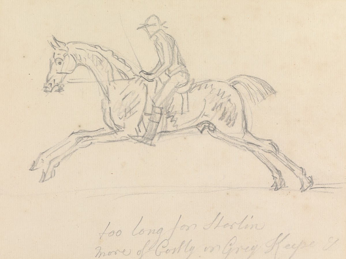 Racehorse with Jockey Up Galloping Seen from the Near Side the Jockey Holds a Sw