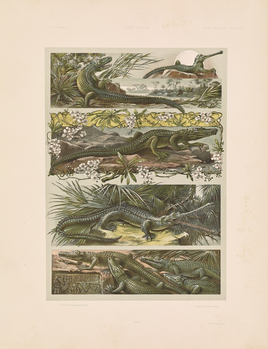 Das Thier in der decorativen Kunst Pl14 1896