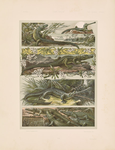 Das Thier in der decorativen Kunst Pl14 1896