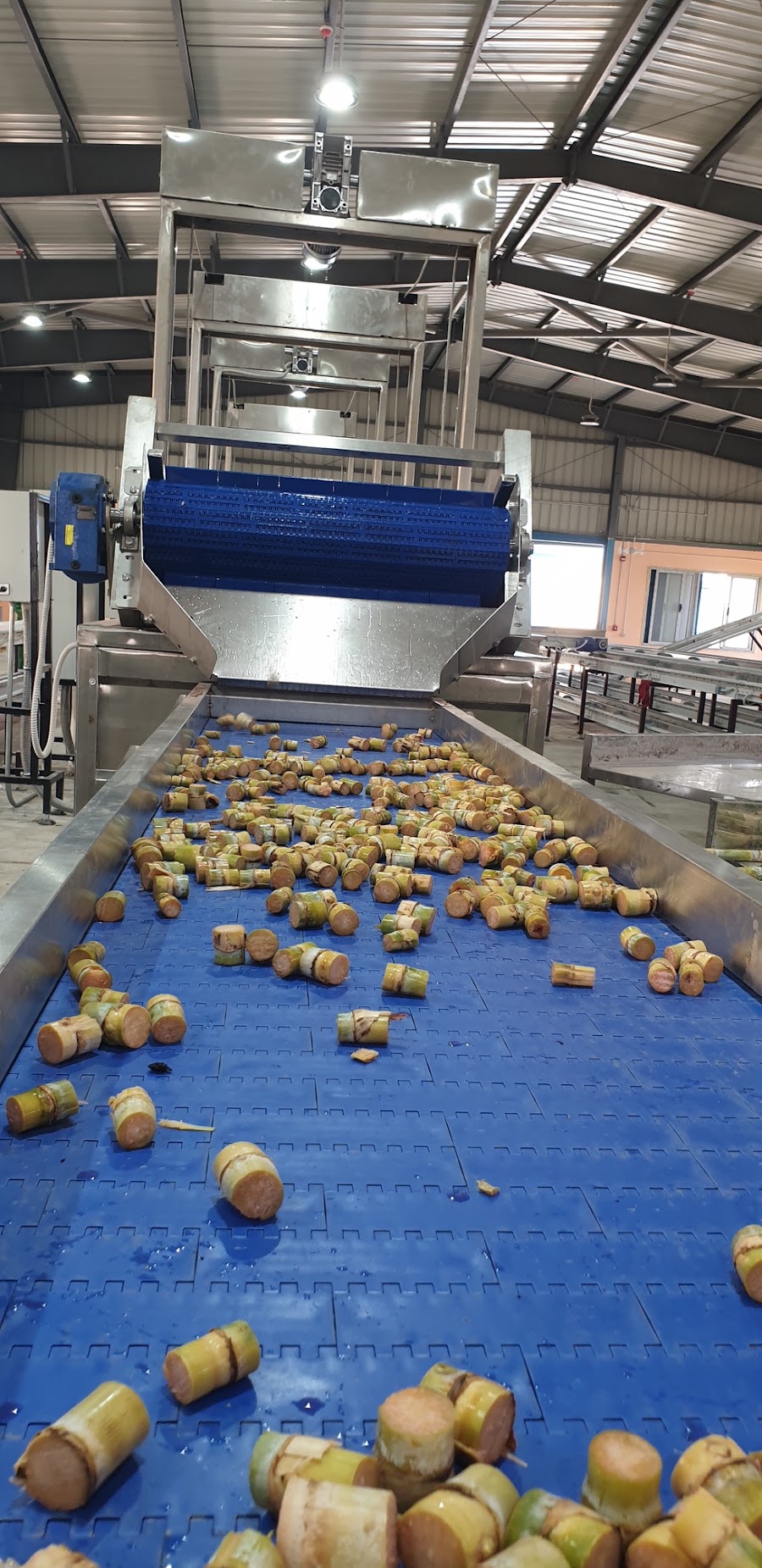 SANAM Engineering Industries — food processing and material handling project 42