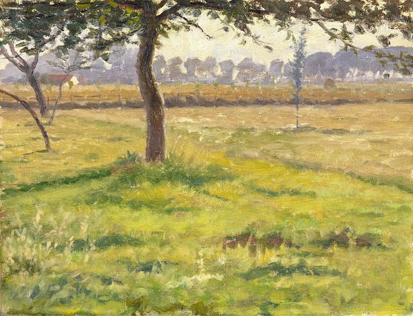 Pastureland in Flanders