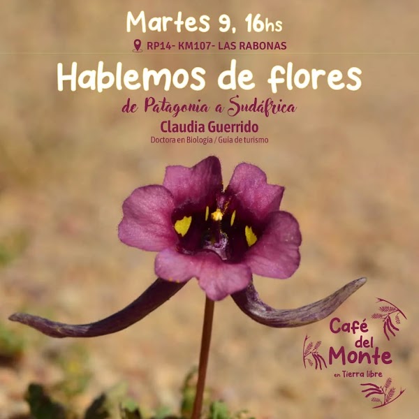 Hablemos de flores🌷🌹🪻🪷🌸🌺🌼🌻🥀