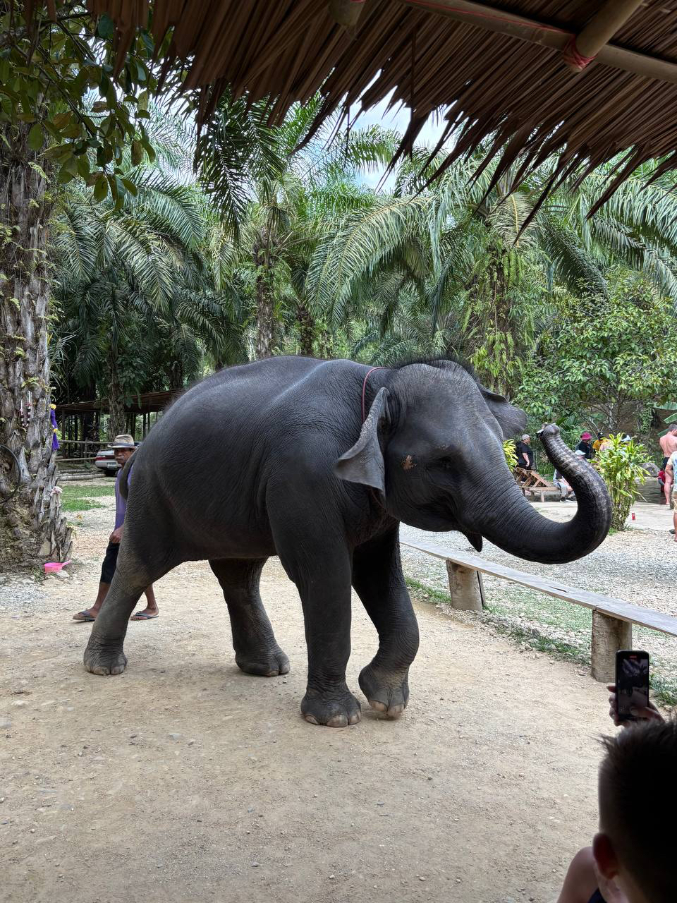 KHAOLAK SAFARI (1-DAY TRIP) 2