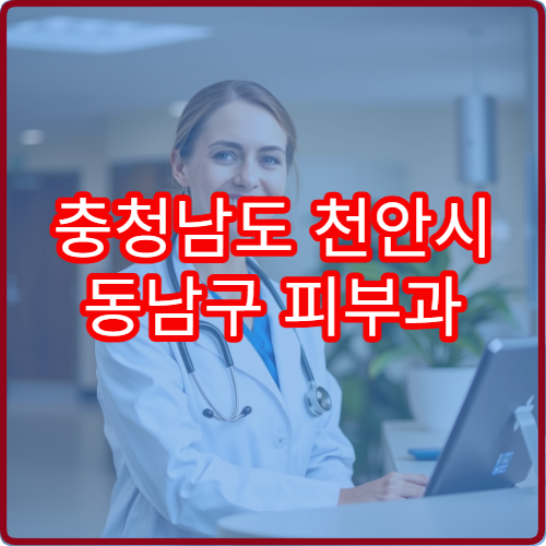 충청남도 천안시 동남구 피부과 설날 명절 진료 병원 운영시간 예약