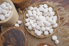 Bánh men sau khi nướng có vị thơm nước cốt dừa béo ngậy, vừa cắn 1 cái tan ngay trong miệng sẽ khiến bạn ăn mãi không dừng. Bảo quản bánh men trong hộp kín sẽ dùng được lâu hơn.