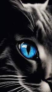 Cat with Glowing Blue Eye in Monochrome