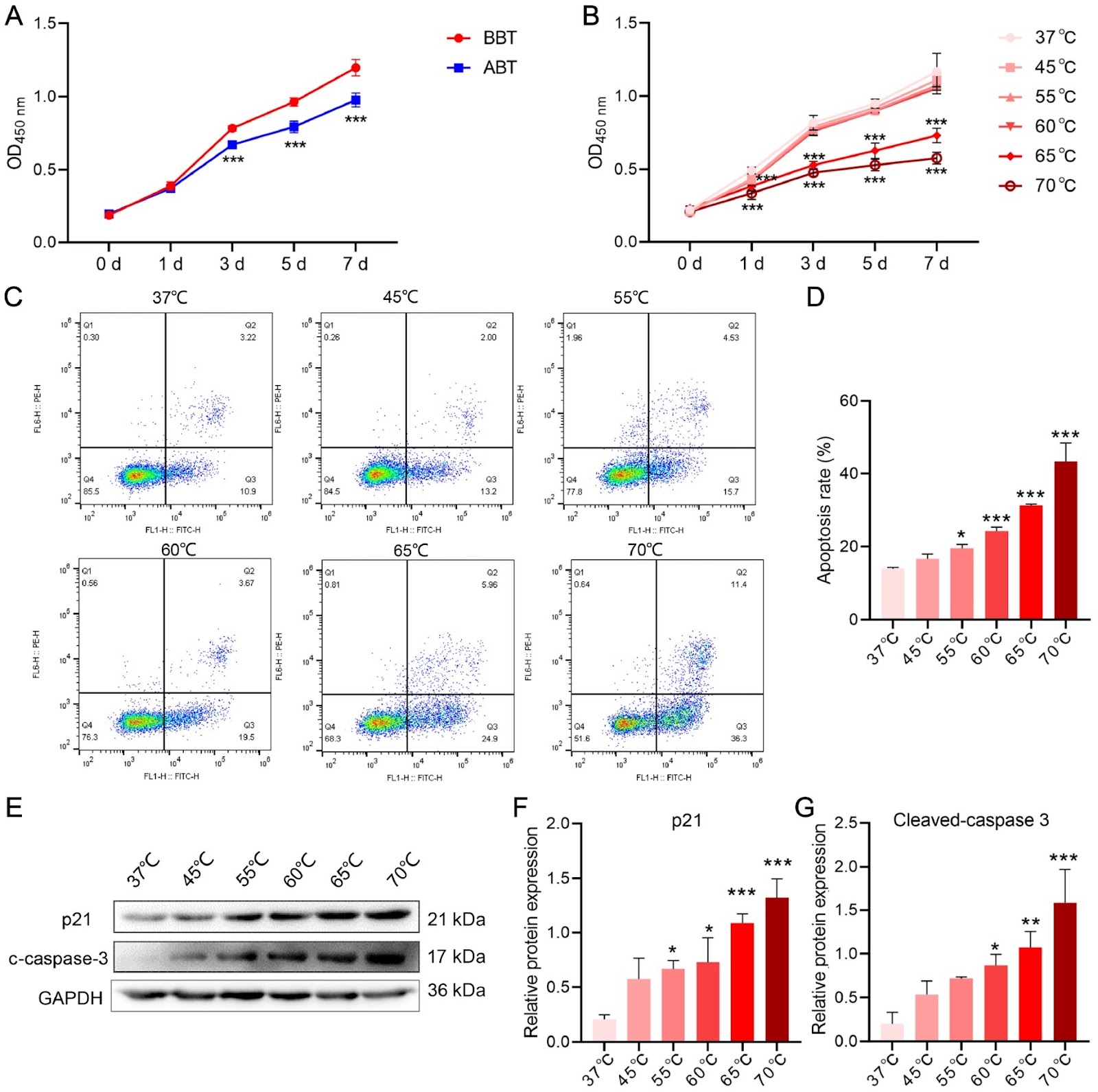 Bronchial thermoplasty decreases airway remodeling by inhibiting autophagy via the AMPK/mTOR signaling pathway
