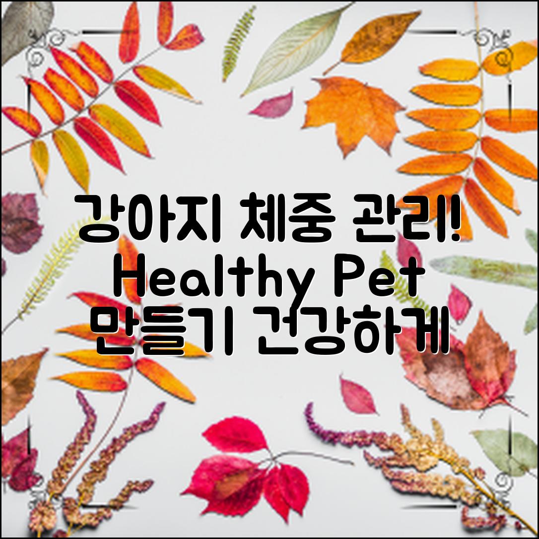 강아지 체중 관리법, 건강한 반려동물 만들기!