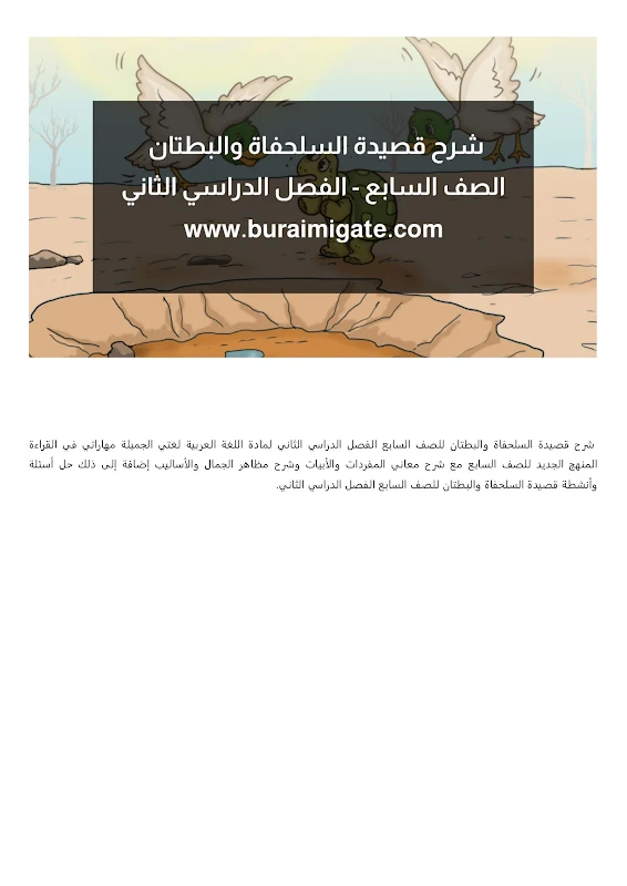 صورة الغلاف