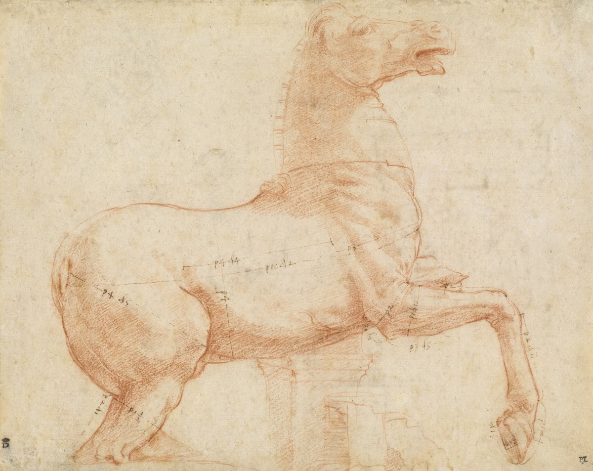 A Marble Horse on the Quirinal Hill recto c 1513