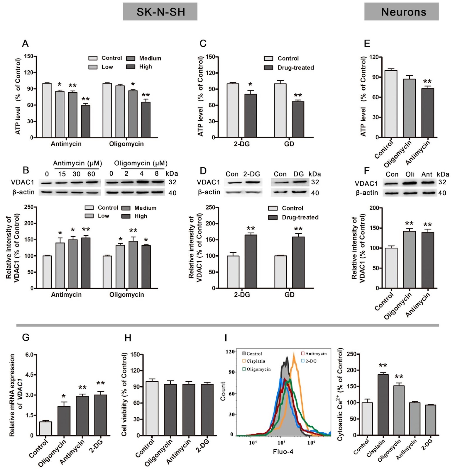 AMPK/PGC-1α and p53 modulate VDAC1 expression mediated by reduced ATP level and metabolic oxidative stress in neuronal cells