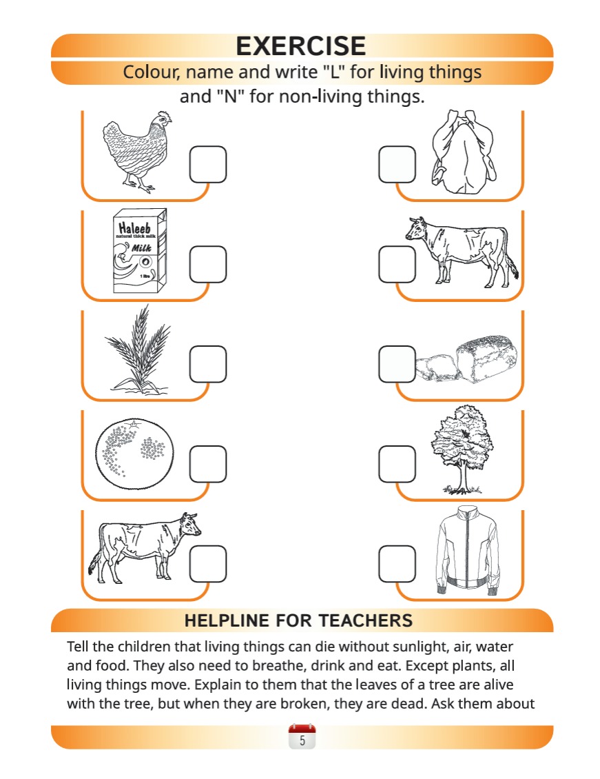 Science Book B - Activity Book