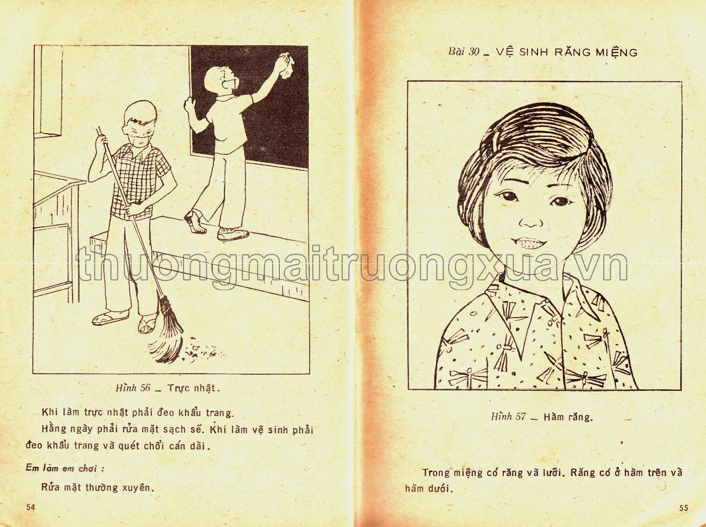Tìm hiểu khoa học 2 (1983) - Trang 30