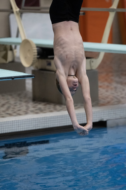 Photo from MS: Swim & Dive of Leif Anderson
