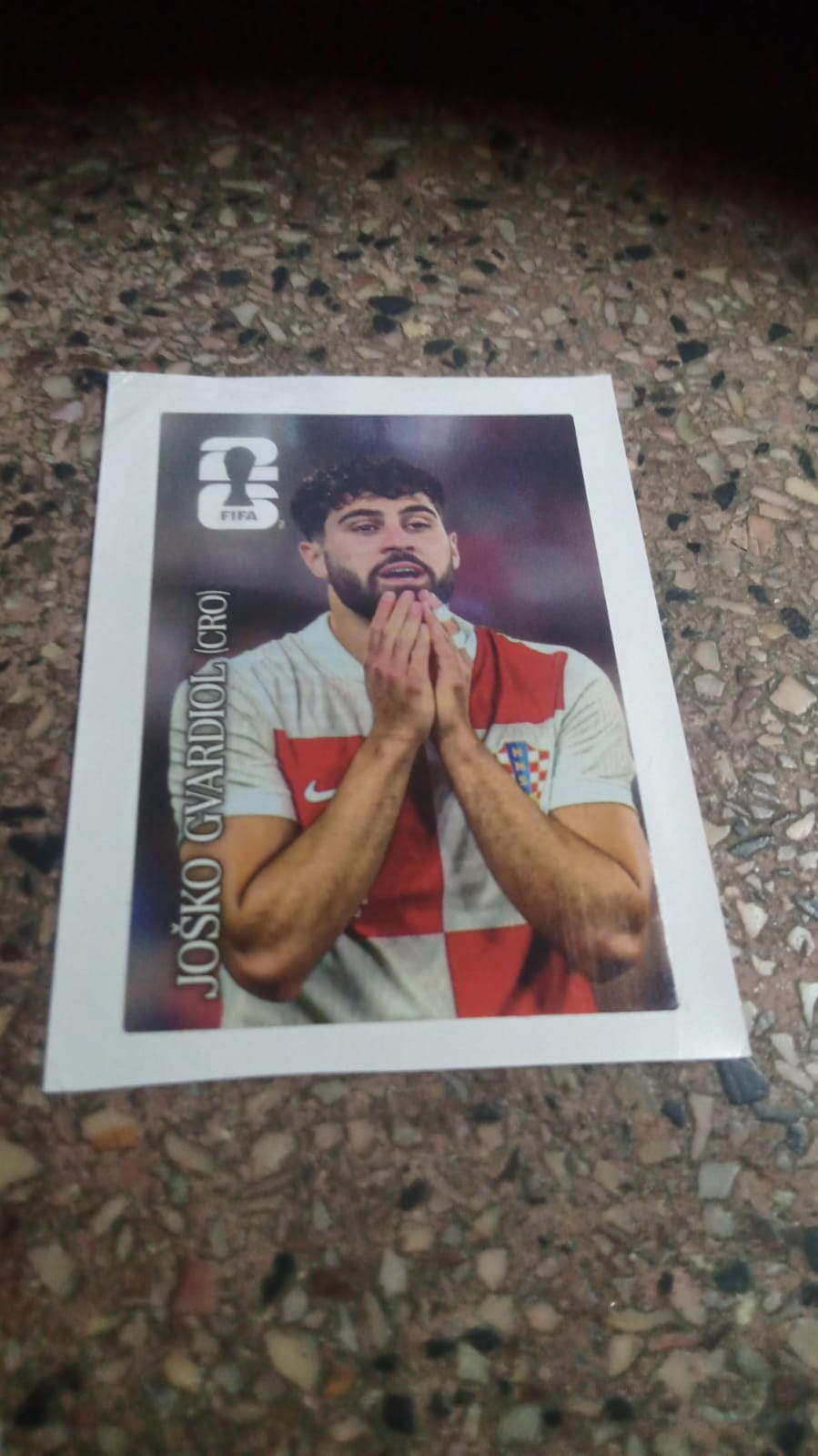 Josko Gvardiol
