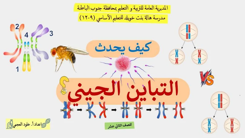 صورة الغلاف