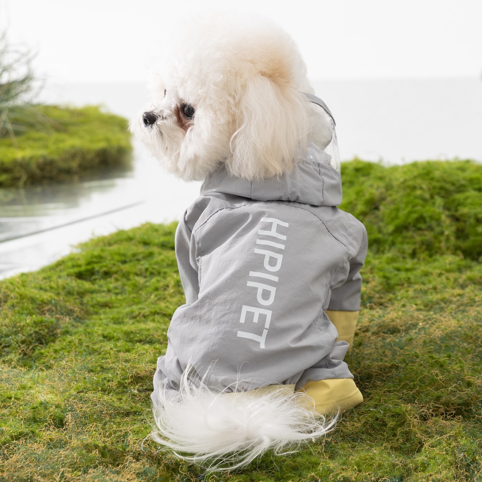 Regenmantel für Hunde, Nylon, wasserdicht