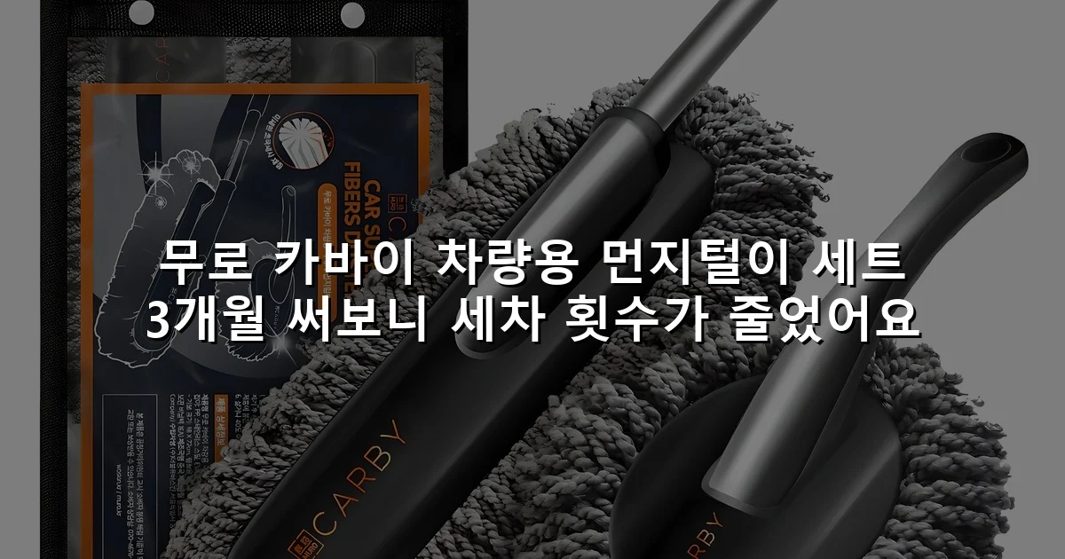 무로 카바이 차량용 먼지털이 세트 3개월 써보니 세차 횟수가 줄었어요