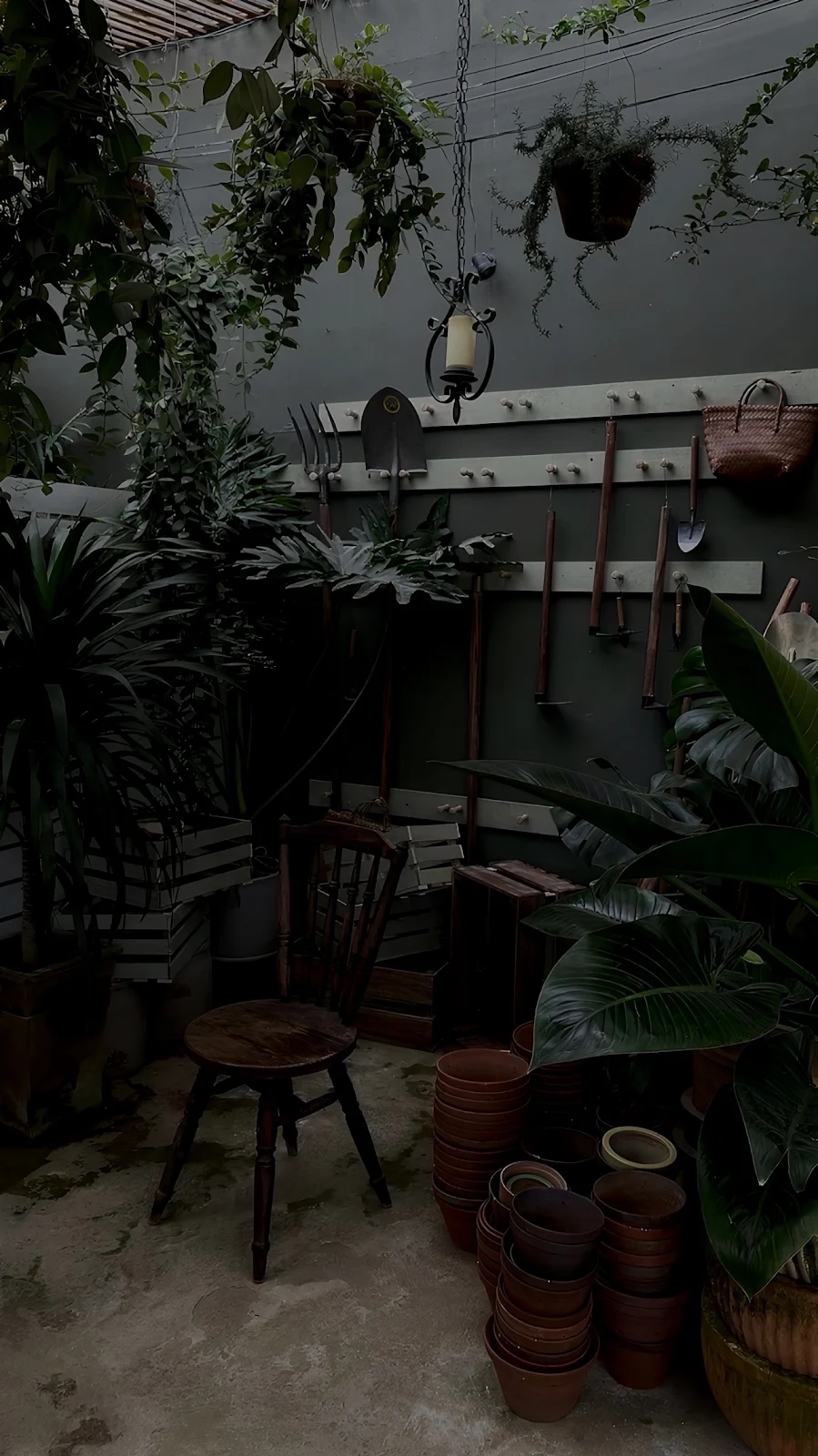 Rustic Indoor Garden Potting Area - Interior Photography Full HD iPhone Wallpaper (1286x2288)