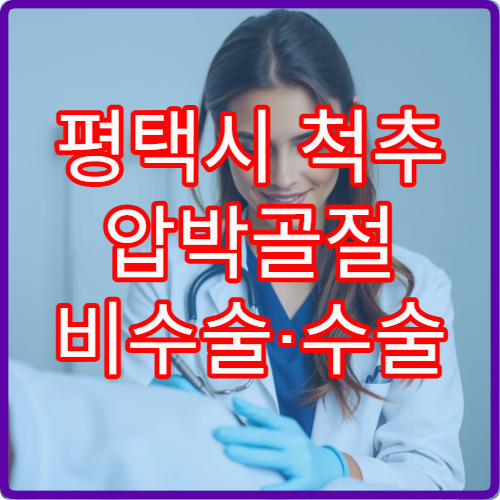 평택시 척추 압박골절 비수술·수술 치료 선택 가능한 전문 병원