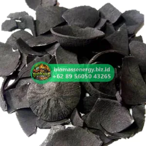 Raw Coconut Shell Charcoal Bulk View