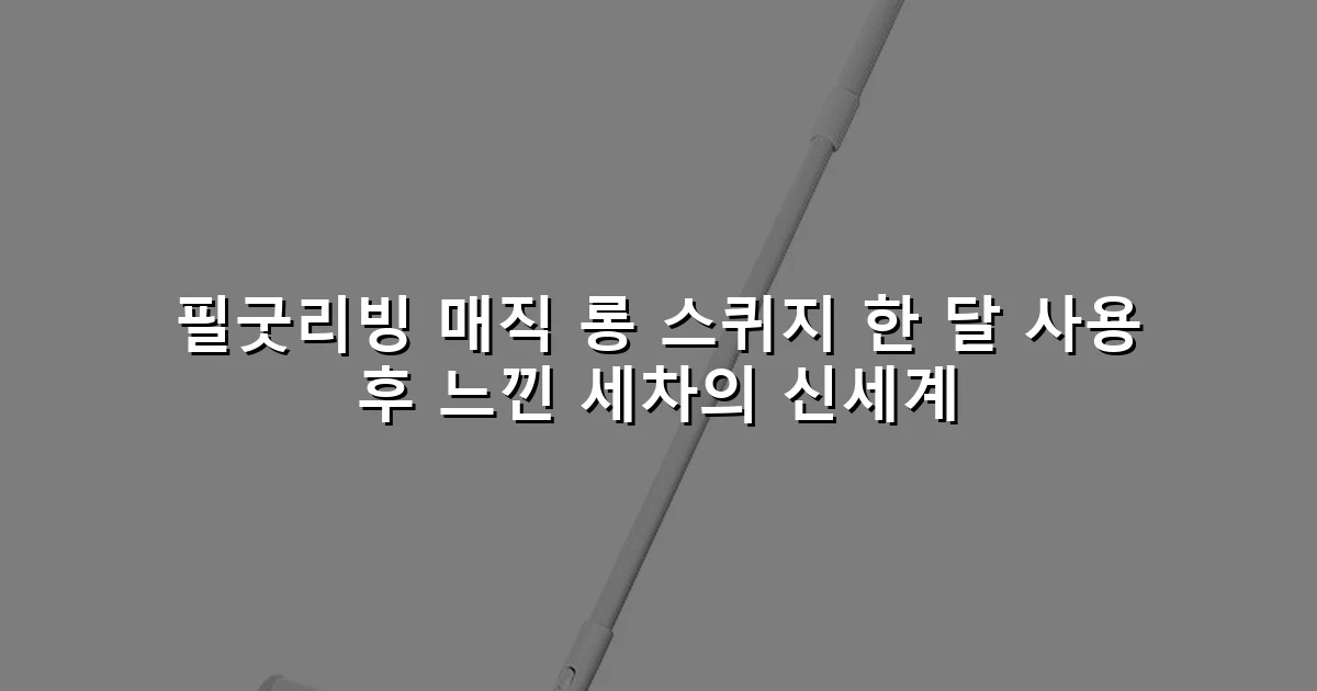 필굿리빙 매직 롱 스퀴지 한 달 사용 후 느낀 세차의 신세계