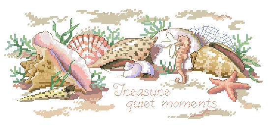 Dim Beach Shells