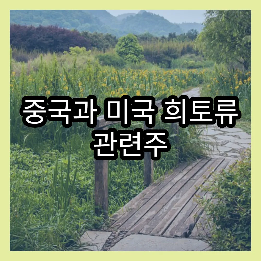 중국과 미국 희토류 관련주 경쟁과 글로벌 시장 전망