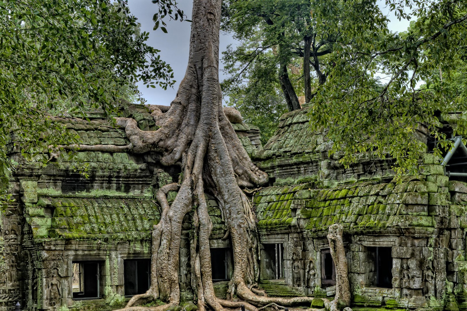 Cambodia + Bangkok 5