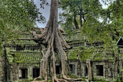 Cambodia + Bangkok photo 5