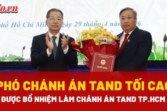 Ông Phạm Quốc Hưng được bổ nhiệm làm Chánh án TAND TP.HCM - Báo Pháp Luật TP.HCM